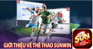 Toàn bộ giao diện chính tại nhà cái Thể Thao Sunwin